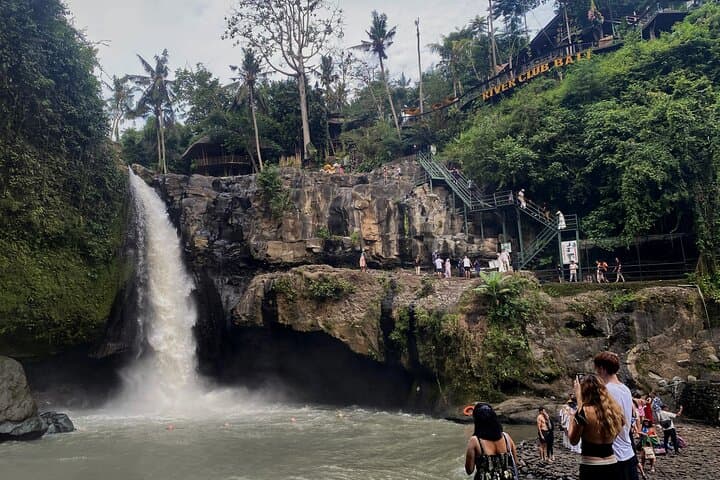 Custom Bali Private Day Tour with English-Speaking Driver — Ubud Temples, Rice Terraces & Waterfalls photo 5