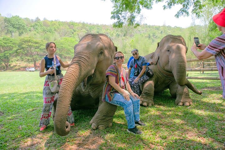Chiang Mai Elephant Sanctuary & Sticky Waterfall Day Tour — Ethical Encounters and Climbable Falls photo 2