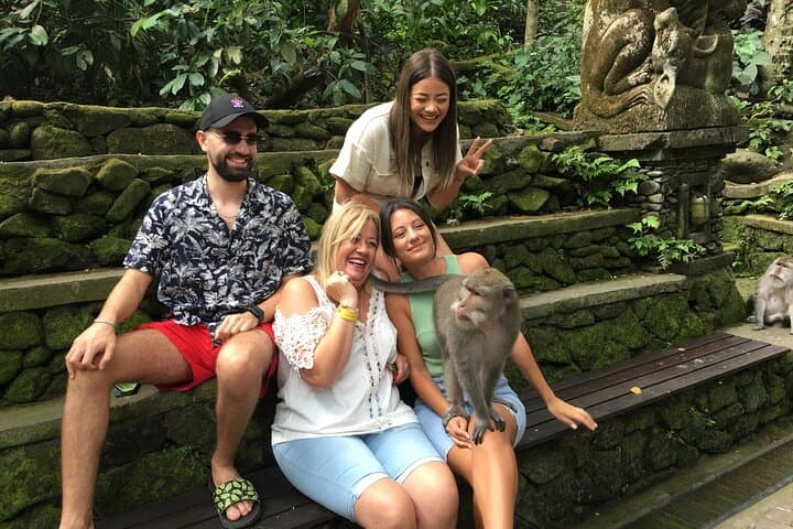 Custom Bali Private Day Tour with English-Speaking Driver — Ubud Temples, Rice Terraces & Waterfalls photo 6