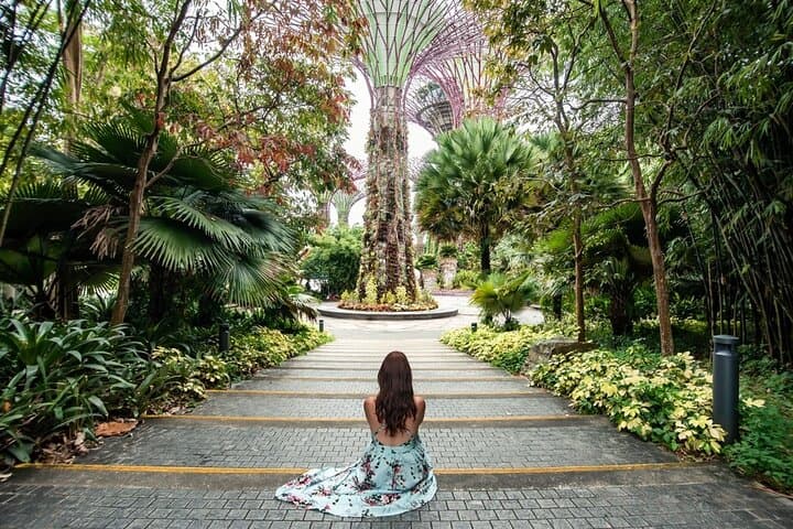 Gardens by the Bay Singapore: Complete Visitor Guide & Admission Ticket