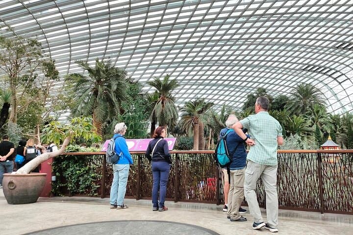 Gardens by the Bay Singapore: Complete Visitor Guide & Admission Ticket photo 5
