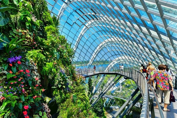 Gardens by the Bay Singapore: Complete Visitor Guide & Admission Ticket photo 4
