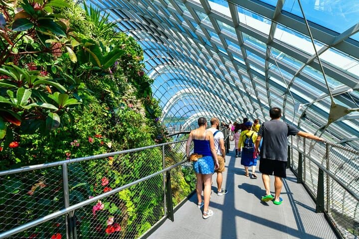 Gardens by the Bay Singapore: Complete Visitor Guide & Admission Ticket photo 3