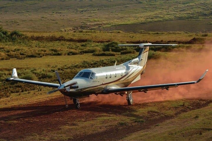 4-Day Fly-In Serengeti Migration Safari: Fast-Track to the Great Migration