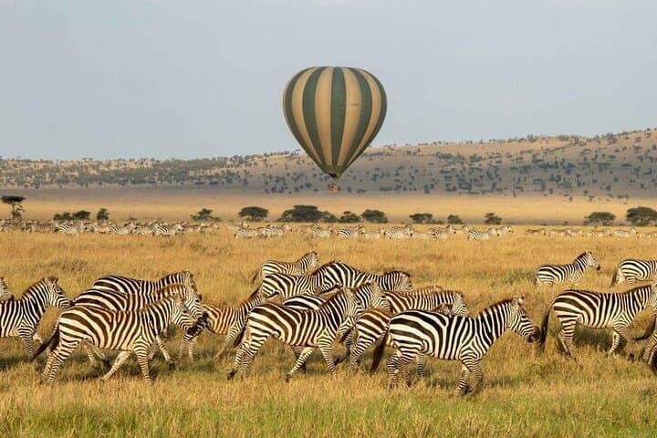 4-Day Fly-In Serengeti Migration Safari: Fast-Track to the Great Migration photo 4