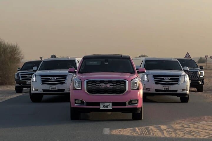 Dubai Luxury Limousine Ride: One-Hour VIP City Transfer & Sightseeing