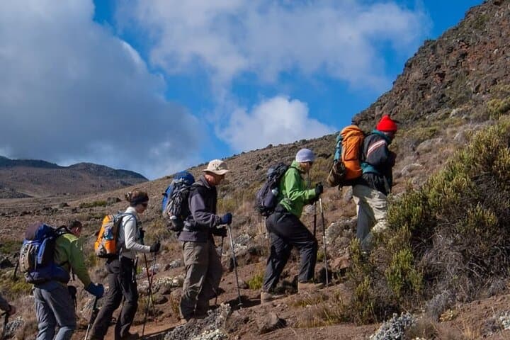 7-Day Rongai Route Kilimanjaro Climb to Uhuru Peak — Quiet Northern Approach