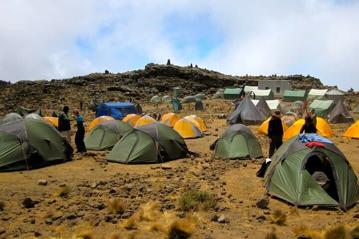 7-Day Rongai Route Kilimanjaro Climb to Uhuru Peak — Quiet Northern Approach photo 2