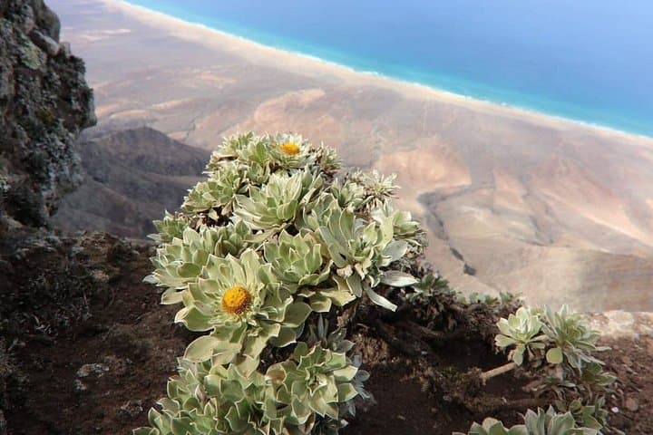 Cofete & Jandía 4x4 Off‑Road Tour — Explore Fuerteventura’s Wild Southwest photo 2