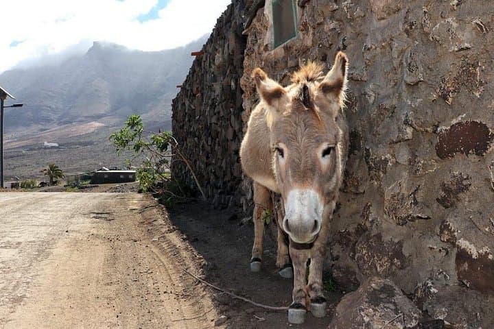 Cofete & Jandía 4x4 Off‑Road Tour — Explore Fuerteventura’s Wild Southwest photo 3