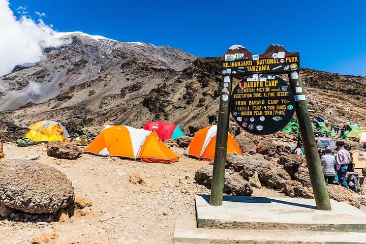 7-Day Rongai Route Kilimanjaro Climb to Uhuru Peak — Quiet Northern Approach photo 5