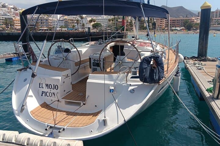 Los Gigantes Dolphin & Whale Sailing Tour — 3-Hour Small-Group Sail and Snorkel photo 2