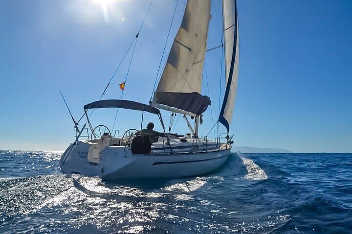 Los Gigantes Dolphin & Whale Sailing Tour — 3-Hour Small-Group Sail and Snorkel photo 1