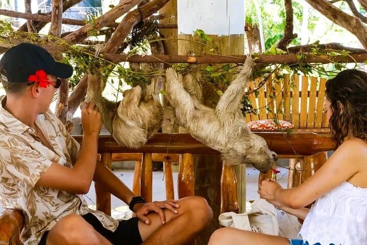Roatan wildlife, chocolate & beach day tour: monkeys, cacao and Caribbean shores