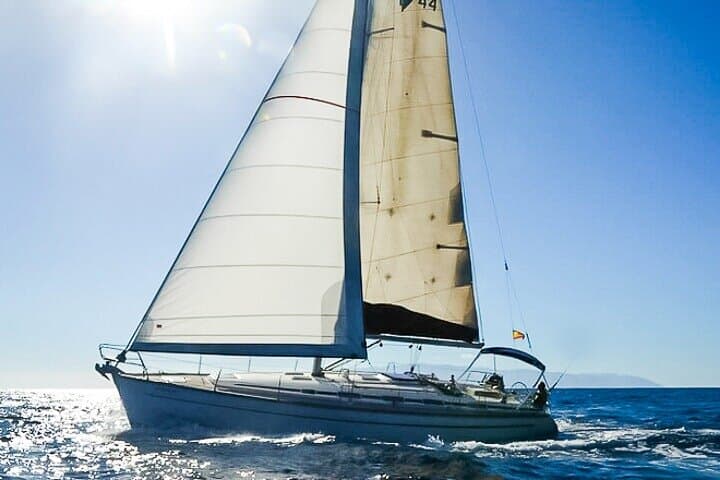 3-Hour Private Sail from Los Gigantes to Watch Whales and Snorkel