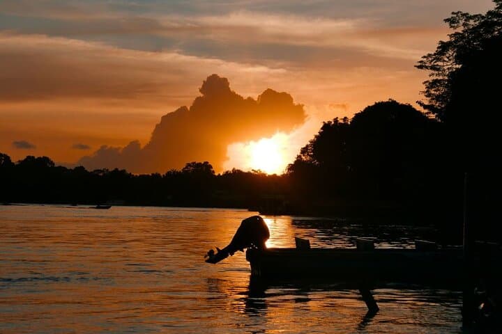Klias River Firefly Cruise with Dinner from Kota Kinabalu photo 5