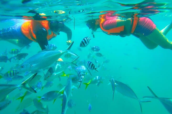 Snorkel Manukan & Sapi Islands: Full-Day Kota Kinabalu Marine Park Escape