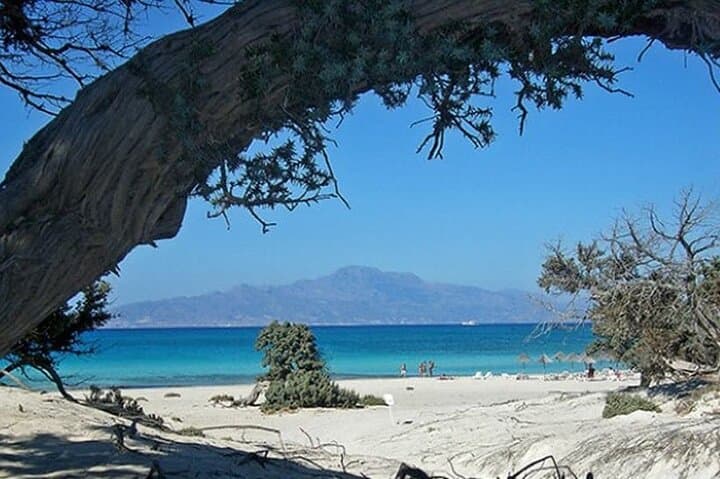 Chryssi Island Day Cruise from Heraklion — Golden Beaches & Cedar Forests photo 4