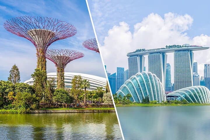 Gardens by the Bay & Marina Bay Sands: Cloud Forest, Supertree Grove and SkyPark Views
