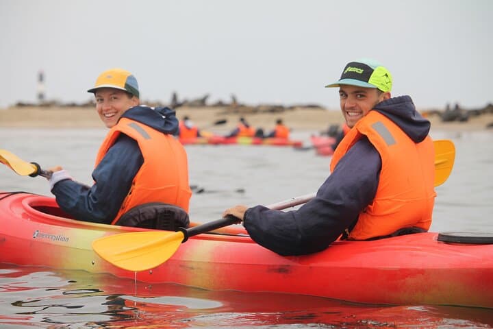 Kayak with the Pelican Point Seal Colony: Half-Day Tour from Walvis Bay photo 5