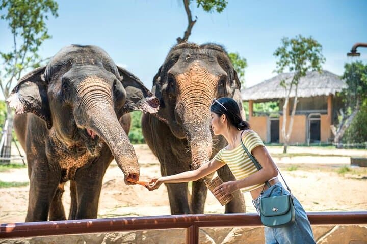 VinWonders Nam Hoi An: Complete Visitor Guide, Tips & What to Expect photo 4