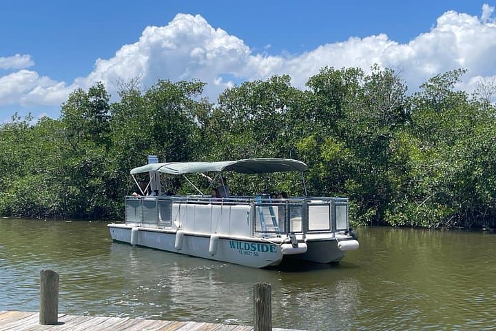 Cocoa Beach Dolphin Eco Cruise: Thousand Islands Wildlife Cruise