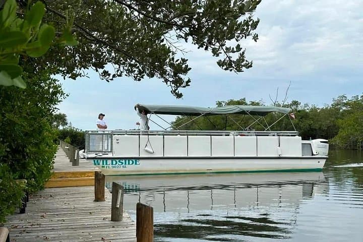 Cocoa Beach Dolphin Eco Cruise: Thousand Islands Wildlife Cruise photo 6