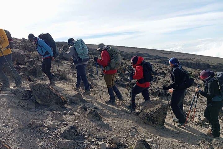Conquer Kilimanjaro: The 8-Day Lemosho Route Adventure to Africa’s Roof photo 4