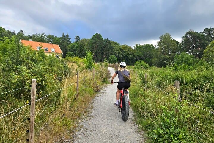 Fat Biking Ängsjö: Stockholm Forest Ride with Lunch & Sauna photo 5