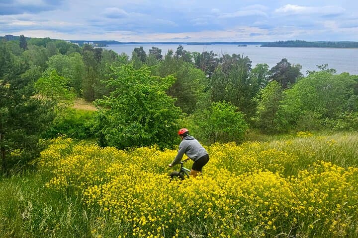 Fat Biking Ängsjö: Stockholm Forest Ride with Lunch & Sauna photo 3