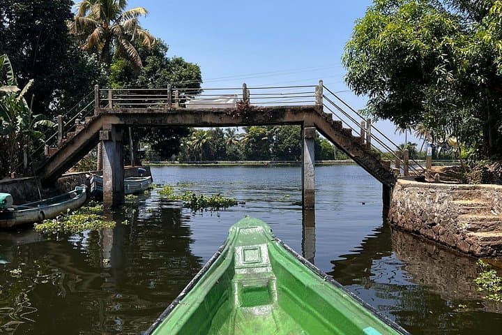 Alleppey Houseboat Day Tour: Backwaters, Village Canoe & Authentic Kerala Lunch photo 3