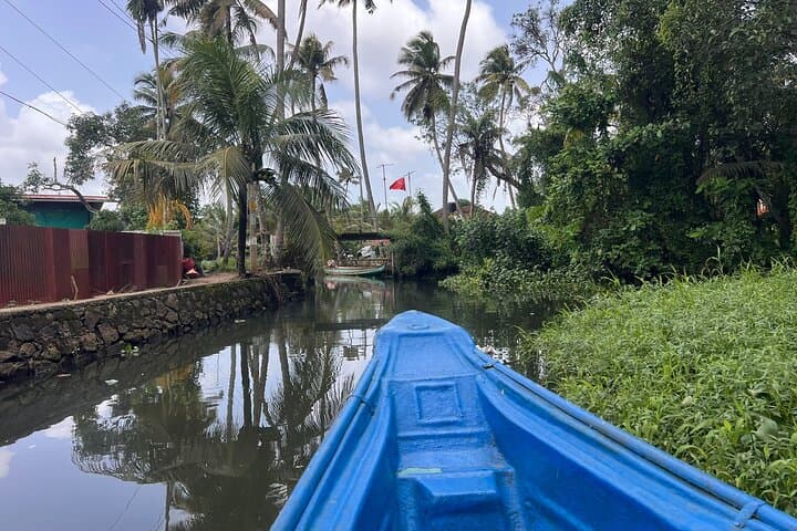 Alleppey Houseboat Day Tour: Backwaters, Village Canoe & Authentic Kerala Lunch photo 4