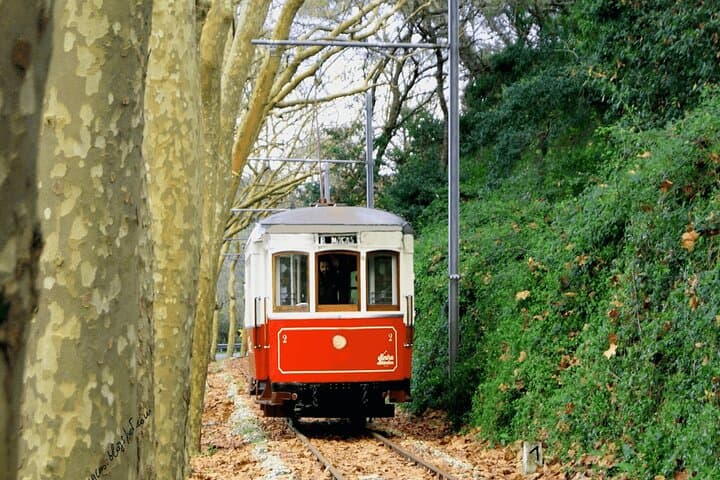 Sintra Food & Wine Experience: Tapas, Tastings & Coastal Culture photo 6