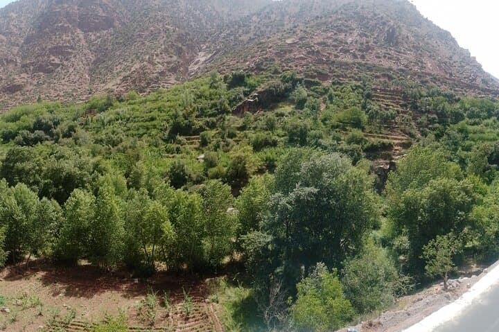 Atlas Mountains & Berber Villages: Full-Day Guided Walk from Marrakech photo 6