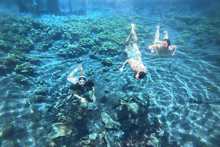 Blue Crater Day Trip from Flores — Boat, Snorkel & Underwater Photos photo 3