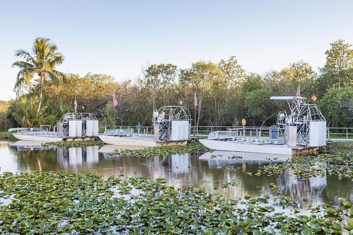 Private Round-Trip Transfer to Everglades Holiday Park from Fort Lauderdale photo 2