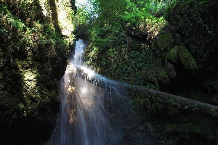 Saklikent Canyon & Gizlikent Waterfall Day Trip from Kalkan photo 5
