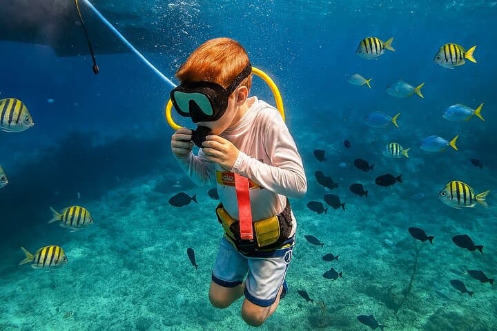 Snuba Cabo San Lucas: Dive Without a Tank Near El Arco photo 2