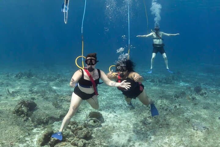 Snuba Cabo San Lucas: Dive Without a Tank Near El Arco photo 3