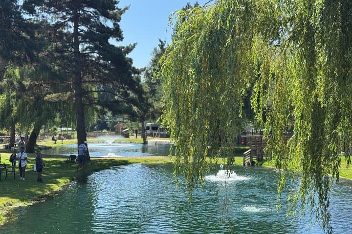 Silverbrook Farm Day Trip: Fishing, BBQ & Family Farm Fun from Vancouver