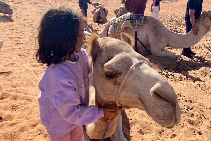 4-Day Oman Private Tour: Jebel Akhdar, Nizwa, Wahiba Sands & Wadi Shab photo 3