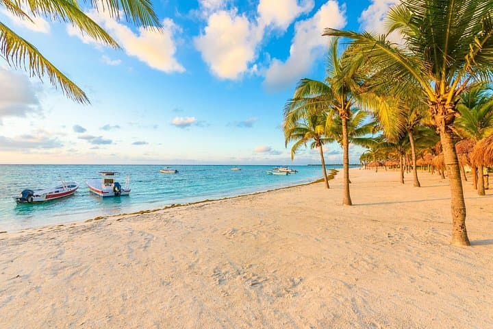 Akumal Turtle Swim & Underground Cenote Private Tour — Snorkel with Sea Turtles and Explore a Freshwater Cavern photo 2