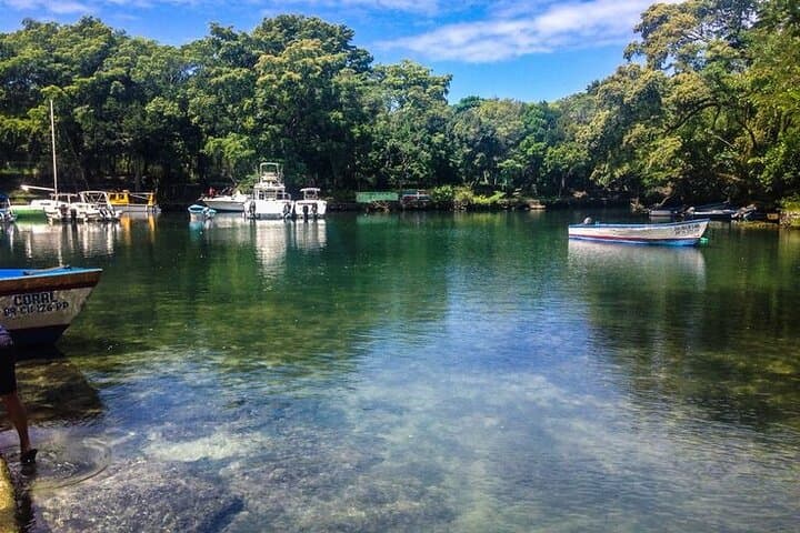 Blue Lagoon Adventure near Río San Juan — Swim, Jump & Local Lunch from Puerto Plata photo 4
