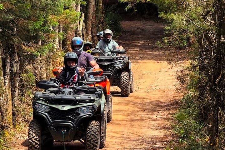 ATV Adventure from Medellín: Llanogrande Mountains & Forest Tour