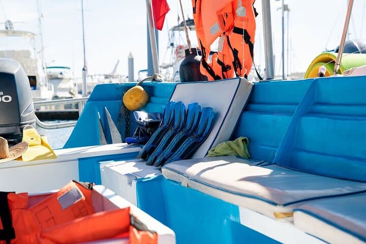 Snorkel Pelican Rock Cabo San Lucas: Glass-Bottom Boat Tour, Snorkeling & Photos photo 5