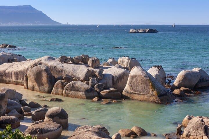 Cape Town Hidden Gems: Self‑Guided Beaches, Views & Penguin Encounters photo 4