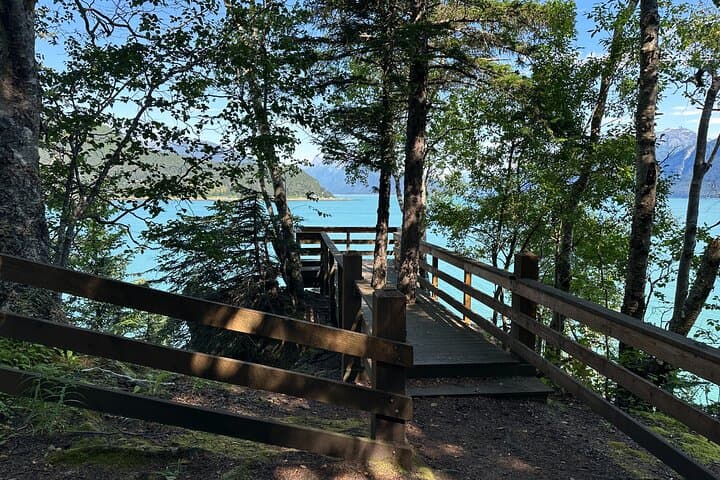 Forest Therapy in Haines, Alaska: 3-Hour Guided Shinrin-Yoku Experience photo 2