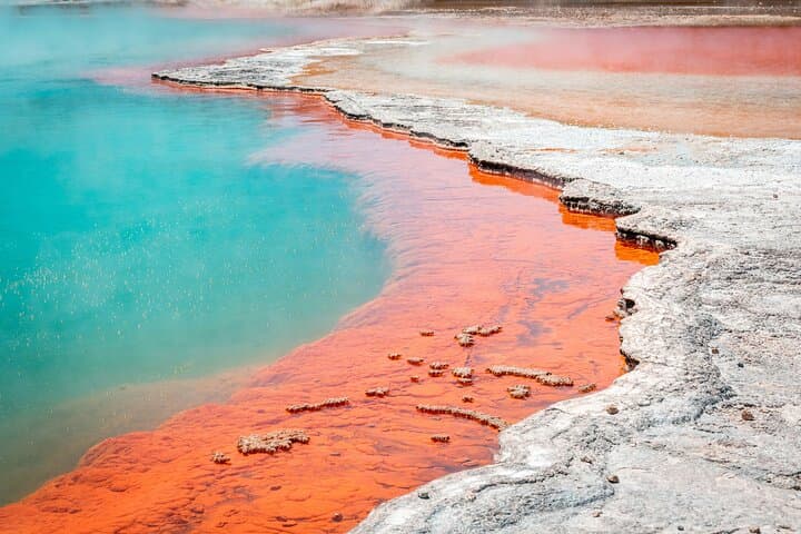 Wai-O-Tapu Thermal Wonderland: Rotorua Geothermal Park Guide