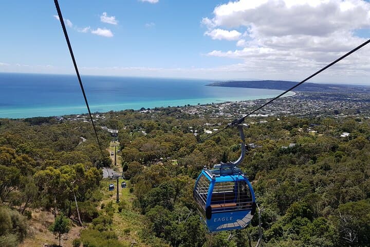 Explore Melbourne's Scenic Marvels: A Peninsula Driving Adventure