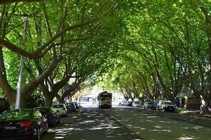 Explore Melbourne's Scenic Marvels: A Peninsula Driving Adventure photo 6